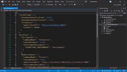 The Complete Guide to ASP.NET Core MVC (.NET 5) - Launchsettings Instructional Video