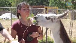 From Backstage to the Barnyard - Press Paws (S1:E6) Instructional Video