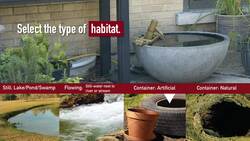 GLOBE Observer Getting Started: Mosquito Habitat Mapper - Sample Collection Instructional Video