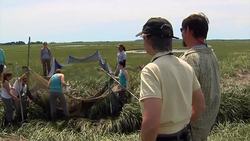 Plum Island Estuary: Studying how marshes respond to sea-level rise Instructional Video
