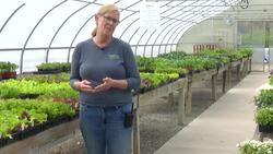 Westport gardening expert share tips on what to plant during fluctuant spring weather News Clip