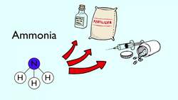 How Is Nitrogen Used Instructional Video