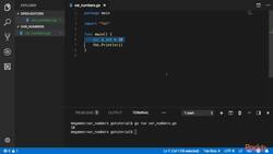 Learn Go in 3 Hours - Declaring Variables Instructional Video