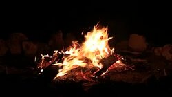 Bonfire burning trees at night. Bonfire burning brightly, heat, light,camping Stock Footage