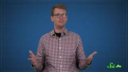 Why Scientists Are Using Mice to Make Human Cells Instructional Video