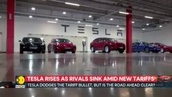 Tesla defies market trends amid tariff woes News Clip