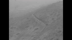 United States Marines walking in countryside during Korean War in October 1952 News Clip
