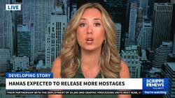 Israel to limit aid trucks entering Gaza amid fragile ceasefire News Clip