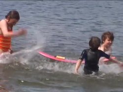 The Nature of Waves: Mediums and Waves Instructional Video