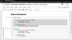 Python for Everybody: The Ultimate Python 3 Bootcamp - Class Inheritance Instructional Video