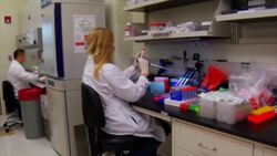 How Our Brain Perceives Light and Dark Instructional Video