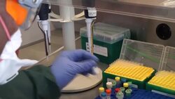 CLEAN : UN nuclear watchdog IAEA prepares COVID-19 testing kits to send to member states News Clip