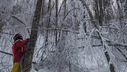 Researchers create unique ice storm lab. NSF Science Now 40 Instructional Video