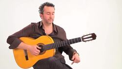 Flamenco Guitar Techniques: How to Practice Rasgueos Instructional Video