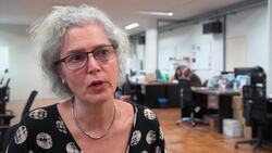 Bacteria infected mosquitoes may help reduce disease transmission News Clip