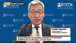 OECD's Takeuchi on Rules of Corporate Governance News Clip