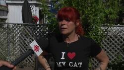 People in this Montreal borough say there’s a rat problem. They blame the biweekly garbage pickup News Clip