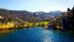 Drone Reveals Yellowstone Park's Magical Landscapes Stock Footage
