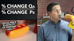 Elasticity Overview and Tips- Micro Topics 2.3, 2.4, and 2.5 Instructional Video