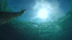 POV: Man outstretching his arm and trying to get to the surface while drowning. Stock Footage