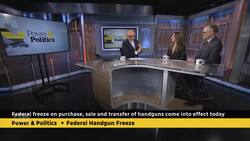 Opposition MPs weigh in on the national handgun freeze taking effect News Clip