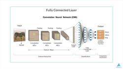 Python for Deep Learning - Build Neural Networks in Python - Fully Connected Layer Instructional Video