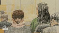 Canadian woman detained in China has returned home News Clip