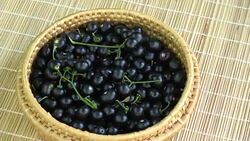 Rotating wicker basket  with black nightshade berries Stock Footage