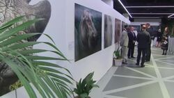 Prince William at United for Wildlife Summit News Clip