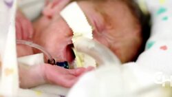 Artificial womb possibility News Clip