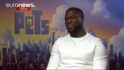 Pampered pooches get organised in The Secret Life of Pets News Clip