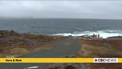 Emergency crews searching for woman swept into water at Cape Spear News Clip