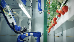 TED: The sweet future of vertical farming | Hiroki Koga Instructional Video