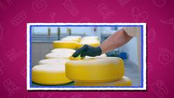 I WONDER - Is Cheese Good For Your Teeth? Instructional Video