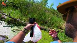 Habitat Clean Up to Save Turtles! Instructional Video