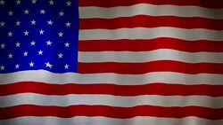 USA flag fabric texture waving in the wind Stock Footage