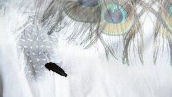 Butterfly flown into the house Stock Footage