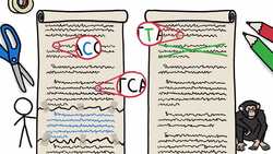 Are We Really 99% Chimp? Instructional Video