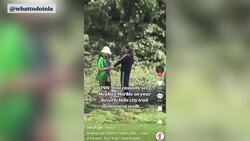 Meghan Markle spotted in LA park News Clip