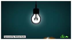 What Do Dogs See When They Watch TV? Instructional Video