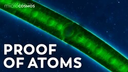 How Brownian Motion Helped Prove the Existence of Atoms Instructional Video