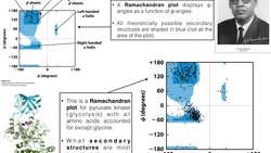 How to Interpret Ramachandran Plots Instructional Video