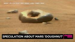 Speculation About Mars 'Doughnut' Rock on Surface News Clip