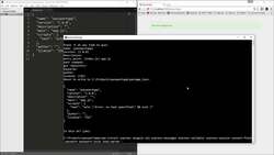 The Full Stack Web Development - Setup, Middleware & Routes - Starting the Project Instructional Video