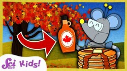 Where Does Maple Syrup Come From? | Winter is Alive! | SciShow Kids Instructional Video
