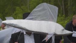 All the world's a stage in the Ural Mountains Instructional Video