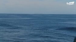 US Navy’s Most Radical Solution To Fight Against Enemy Drones at Sea Instructional Video