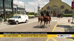 City says it has a plan to clean up after the Ottawa Police Service's new mounted unit News Clip