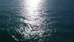 Offshore Fracking Drilling Rig in the Pacific Ocean Stock Footage