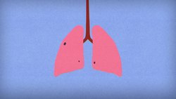 TED-Ed: How do ventilators work? Instructional Video